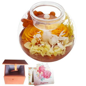 vU[uht[v[gav[g2ւKNޏȃLhz_[͂ȂԃMtgj̓zCgf[ސEjhV̓݃{bNXtIc