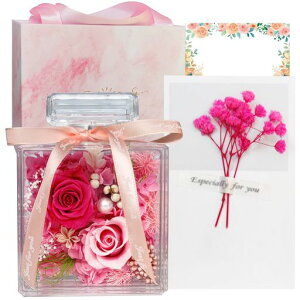 vU[uht[v[gauU[ht[ސEj͂ȂԃAWg2ւKN{gt[MtghV̓LO̓zCgf[J[h&c