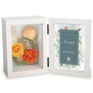 yliLYSepicezXGsXvU[uht[2025蕨tHgt[ʐ^ĒaLOƏj(zCgt[CG[)pp2ye