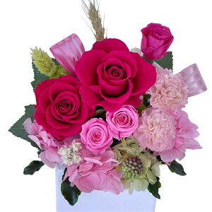 Azurosa(AY[U)vU[uht[av[glC͂ȂԃoAWTCi`GKgAWsNNAP[Xt