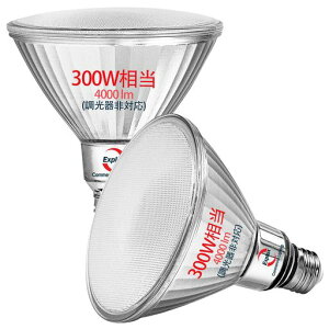 Explux LED�d�� E26���� �n�C�r�[���d�� 300W���� �����F �����P�x4000lm �������Ή� �S�ʃK���X�\�� ���O�h���h�� 2��