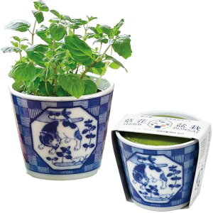 V|ʔNƒ؉~jȒPĂ͔|Lbg~gn[u͔|Zbg(R/H)̌a7cmt䑐BONSAIlR̓v[gaGD-102202