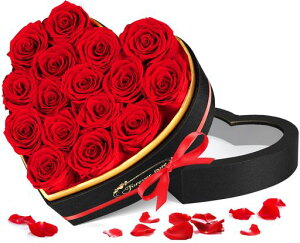 vU[uht[Ԃ͂Ȃ{KNԔ肠菗lCԂj̓LOav[gn[g{bNXAWg