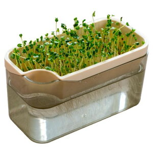 IJ(OKA)xW}WĂXvEg|bgAC{[(ubR[XvEgƒ؉cĐ͔|͔|k͔|vXPLYS)