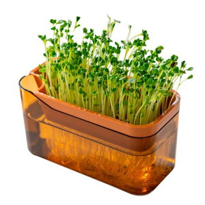 IJ(OKA)xW}WĂXvEg|bguE(ubR[XvEgƒ؉cĐ͔|͔|k͔|vXPLYS)