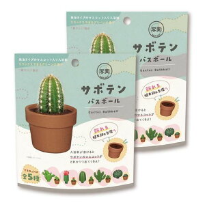 ܃oX{[T{e2Zbg}XRbg肨CoX{qMtg