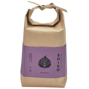 V|ʔNƒ؉ȒP͔|Lbg؍͔|Zbg(R/H)8x4cmTSUTSUMIGD-99601