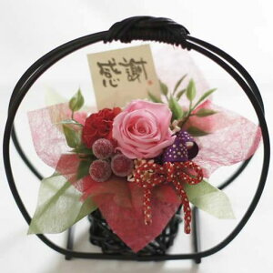 vU[uht[v[ga_̓hV̓ajAW