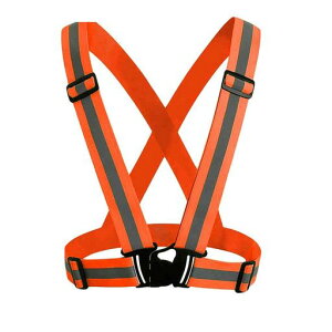 Zafina˃xXgԍƕSxXg`bLuxgʌx̖h~e͒߉\jp(IW)