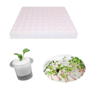 Doyime水耕栽培スポンジ野菜植えスポンジ水耕栽培器スクエア苗スポンジ葉菜用培地スポンジ土壌なし便利性通気性野菜植え水耕栽培植物栽培野菜栽培庭園苗運搬庭室内菜園培地ガーデニン…