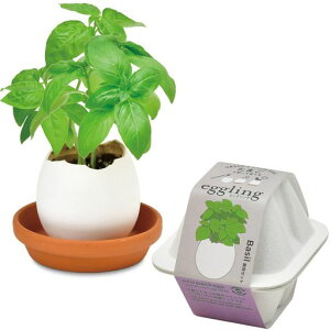 V|ʔNƒ؉ȒP͔|LbgoWn[u͔|Zbg(R/H)7x9cmGbOOGR̓v[gaEG-6002