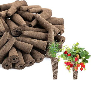 Itisyouk͔|X|W͔|X|Wk͔|X|WۈubNy͔|K[fpi50