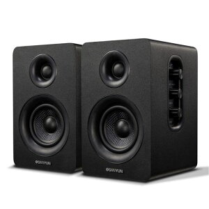 Sanyun SW208 �A�N�e�B�u�u�b�N�V�F���t�X�s�[�J�[ Bluetooth 5.0 3�h DAC 24bit