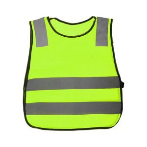 [CAPASTEC]SxXg˃xXgqpԎ̖h~S`bLƕHxʈSyʔˍލFjpu