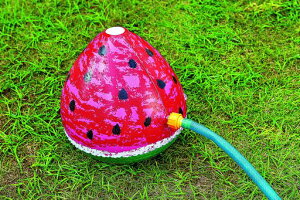 CKVV[XCJ30x26cmPAA-FWRD^