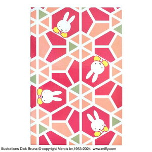 ~btB[󒠍TbyST-TMF0057z