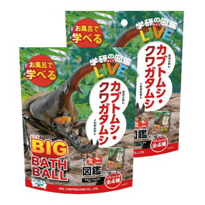 ܃oX{[w̐}LIVEJugVNK^VrbO2Zbg}XRbg肨CoX{qMtg