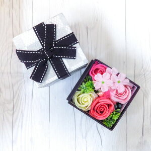 L[t(Q-FLA)\[vt[܃oXtOX\[vt[N[oXtSsNMtg767906