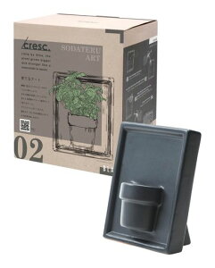 NbVFh킩ĂoW͔|LbgĂA[gav[gCeAGݎϗtAn[uNX}Xv[g