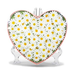 L[t(Q-FLA)\[vt[܃}[Kbgn[g{bNXzCgMtgv[g786235