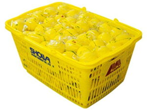 Lucent([Zg)AJGvNeBX{[JS艩10_[X(120)M-40330