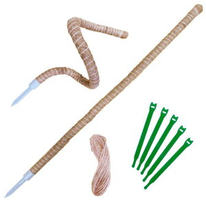 reiri|x݋Ȃ\Ax110cm2{Ђ5moh5{t