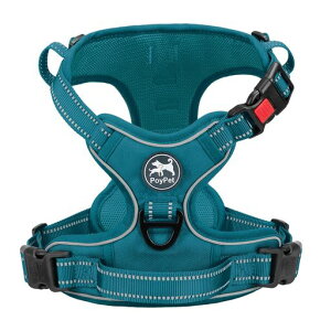 PoyPetn[lXp֖Ԕˍވh~P݌yTCYʋCȒPEV삵Ps⏕U^/^/^n[lX(gD}eB[AS)