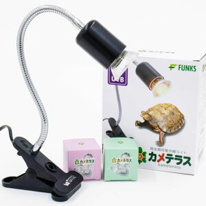 FUNKSJeXOCgT঒ރNbvuvaCguvbCg25w50w