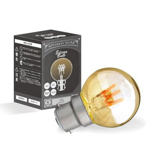 B22ΉGW\ouLEDdolbg(XpC~jGLOBES[h)220lm2200KdFdCOGW\dCMXd