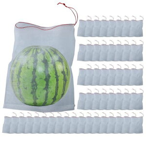 Saki&Masaʕی܉ʕیobOʎh܉ʎ܊QbVobOhlbg؎꒹悯ԖhʋCВ50Zbg(35cmx25cm)