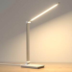 y2025VoEȃGl&ڂɗDzfXNCg邢ledCgƖiK5iKF^C}[EL@\PxX^hCgUSBddCX^hledfXNCg܂ݎc