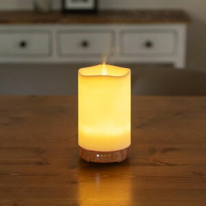 ThaleiaveilA}fBt[U[Lh炬LEDCg