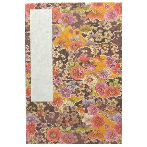 (Styleneo)󒠌󒠃Jo[t160x109mm֕[o(e)