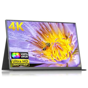 ポータブルモニター、17.3インチ4KFHD3840x2160P60HzOLEDタッチスクリーンラップトップディスプレイエクステンダー、USBC3.1HDMIマイクロUSB付き外部スクリーンラップトップPC電話スイッチ用