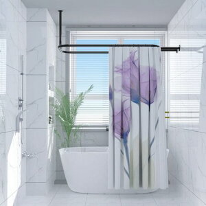 SikaiqiA~jEȉ~`V[J[ebht[v`oX[58C`x24C`bhܑpp(ubN)