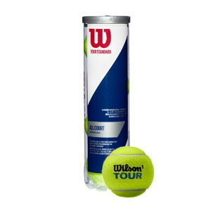 Wilson(EC\)dejX{[TOURSTANDARD(cA[X^_[h)FI.T.F./J.T.A.14WRT103800EB\