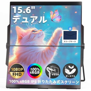 IngnokfAoCj^[15.6C`oCj^[2ʃfAfBXvCFHD1080p܂肽ݎoCfBXvCt@\Type-CIPSplVESAΉX^ht