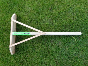 L{V(Kinboshi)Ő̖ړy[Lؕ~j4037