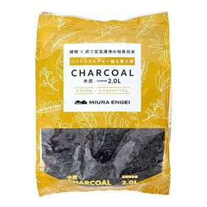 OY|nChJ`[ppynChJ`[pؒY2L