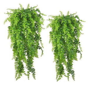 mamotatFCNO[݂艺Ǌ|nMOCeA^ԊϗtAAGA[vclHO[tFCN(2)