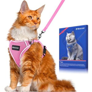 LLpn[lX[hL[v[hLn[lXL\ȒPhВyʏ_炩fގ֓֔ˍގUpoxXg˂lR\tgĊPݖh~tt(sc