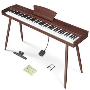 �y�V�ؐ����f���Ƌ�s�A�m�zLongeye�����A�C�d�q�s�A�m88����MOOD�X�^���h��̌^10W�o�͓��{��\�LMIDI�Ή���w�b�h�z�������g���g����10mm�X�g���[�N380��މ��F�ڒ�DREAM�������S�җ��K�c