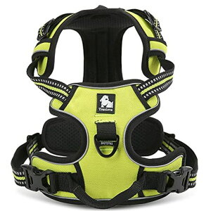 J&CParadiseԌn[lX{KXp֐lCȒPʋC߉\3Mˈh~s⏕TRUELOVE(XSlIECG[)