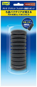 eg(Tetra)egugtB^[փX|WX|WtB^[tɂ₳_fGA[|v