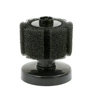 ÓIWiX|WtB^[30SX|WtB^[