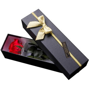 vU[uht[vU[ht[ւKNbhv[gjLOaAWt[Mtgt[AWg͂Ȃoԏ̓