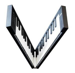 TAHORNGORIPIA49BK�܂肽���ݎ��d�q�s�A�m�I���s�AMIDI�L�[�{�[�h�^�z�[��