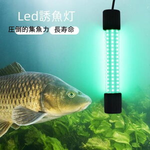WXނ蓔12-24v50w225r[Yܖʔu[ނCނނDނ荂PxLEDLED360x[5m܂ŉ\(u[50W)