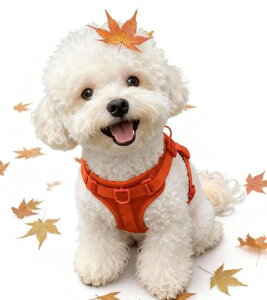 HOLYCATn[lXȂ^-^Lpē֌́[˂h~߉\hbOUPp₷₷EȒPK\tgpbh_炩\tgpc