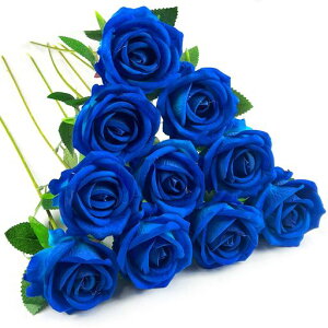 DECEEDԃo[YKN10{Zbgԑo^Cf[u[P̓aԌa7cmx50cm(u[)